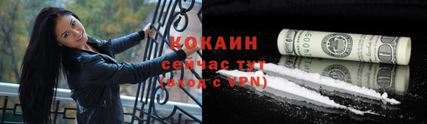 дживик Бородино