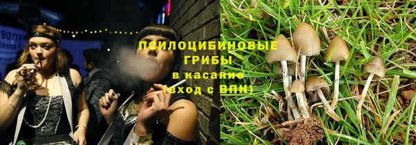 spice Гусь-Хрустальный