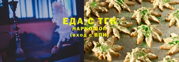 дживик Бородино